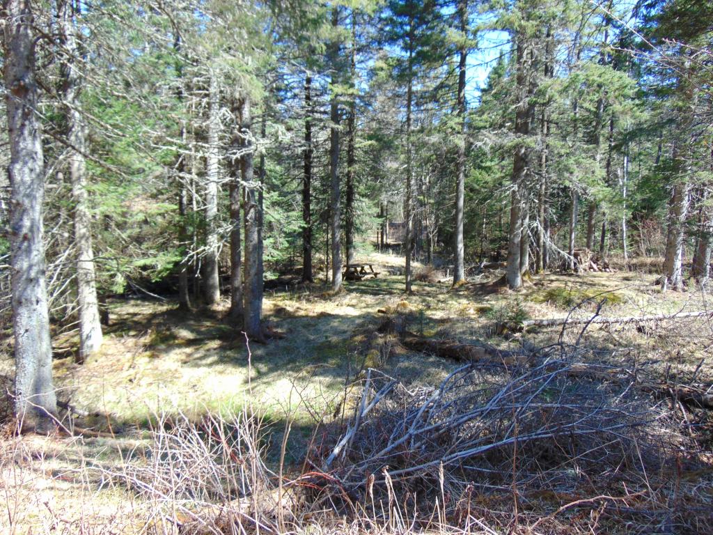 41 Kelsea Notch Road Columbia, NH 03576 - Photo 8 of 13