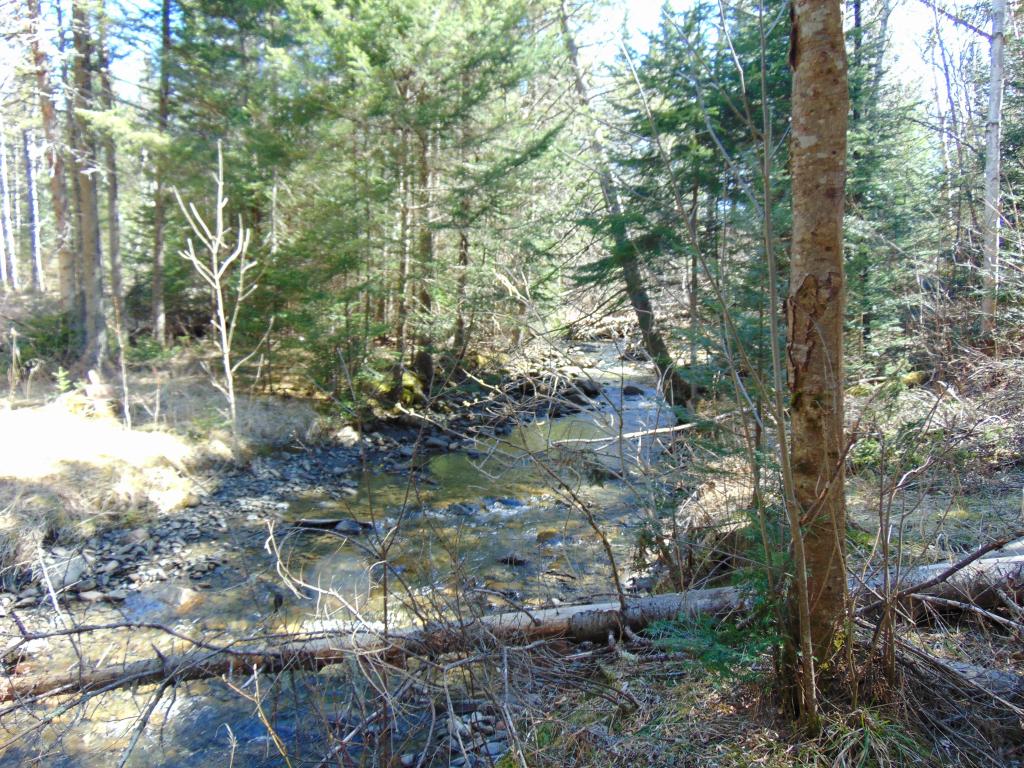 41 Kelsea Notch Road Columbia, NH 03576 - Photo 9 of 13