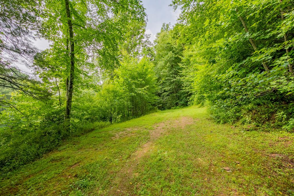 Tbd River Road, Unit 74 Hillsville, VA 24343 - Photo 20 of 31 Gallery Image 20