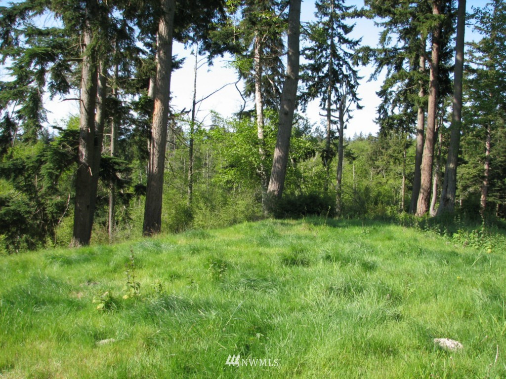 0 Sockeye Ridge Way Oak Harbor, WA 98277 - Photo 13 of 23 Gallery Image 13
