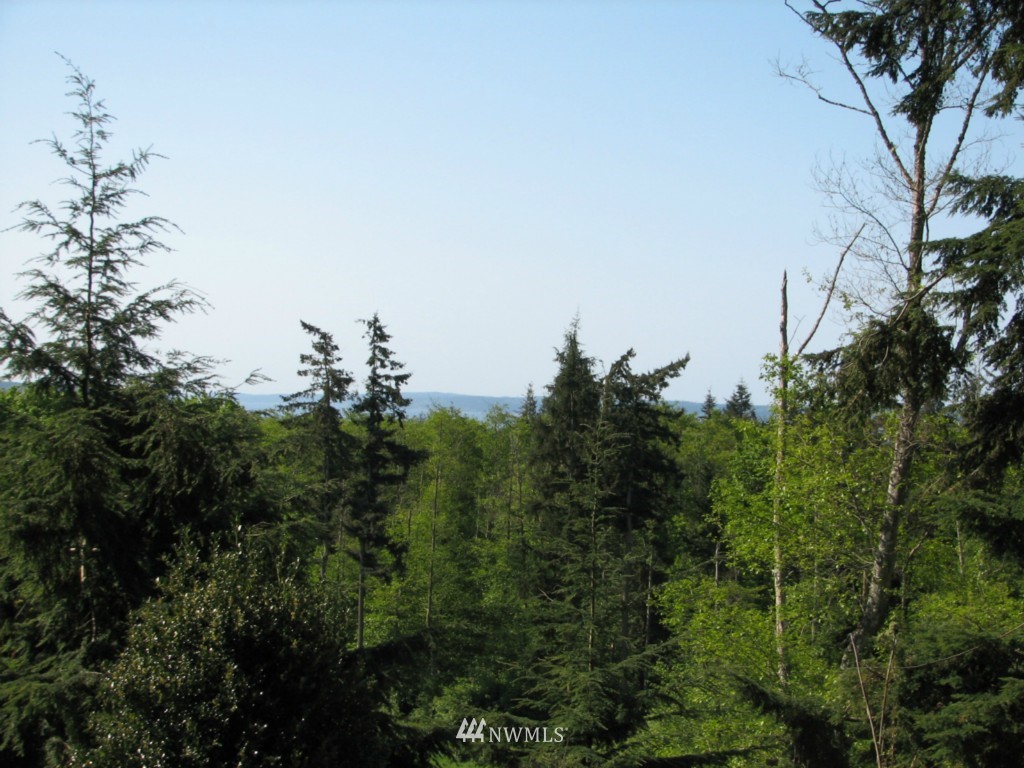 0 Sockeye Ridge Way Oak Harbor, WA 98277 - Photo 3 of 23 Gallery Image 3