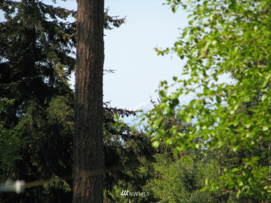 0 Sockeye Ridge Way Oak Harbor, WA 98277 - Photo 22 of 23 Gallery Image 22