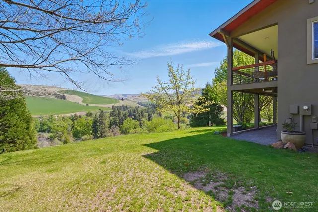 a view of a backyard