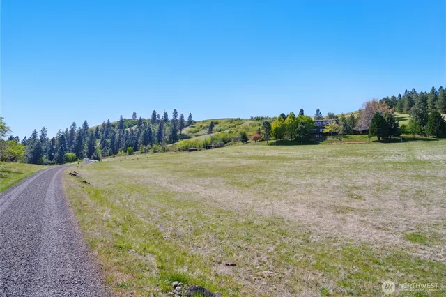 a view of a field with trees in the background