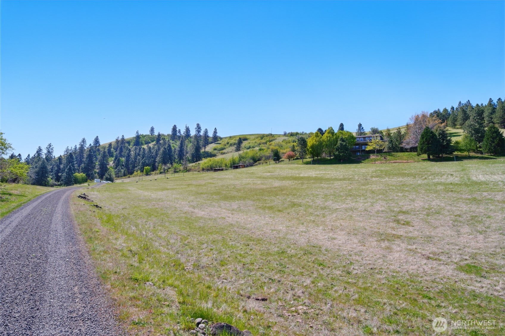 469 Tag Lane Walla Walla, WA 99362 - Photo 32 of 40 a view of a field with trees in the background