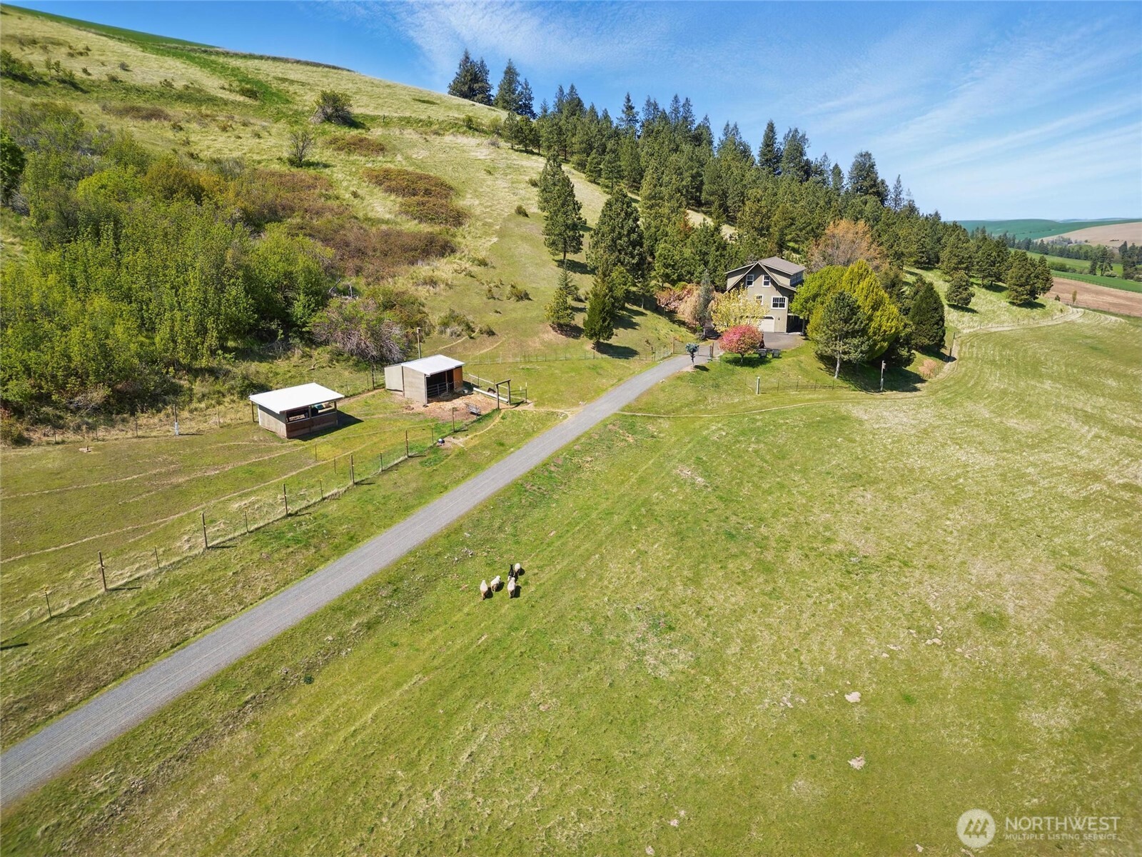469 Tag Lane Walla Walla, WA 99362 - Photo 33 of 40 a view of an outdoor space and a yard