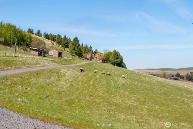a view of a yard with an outdoor space