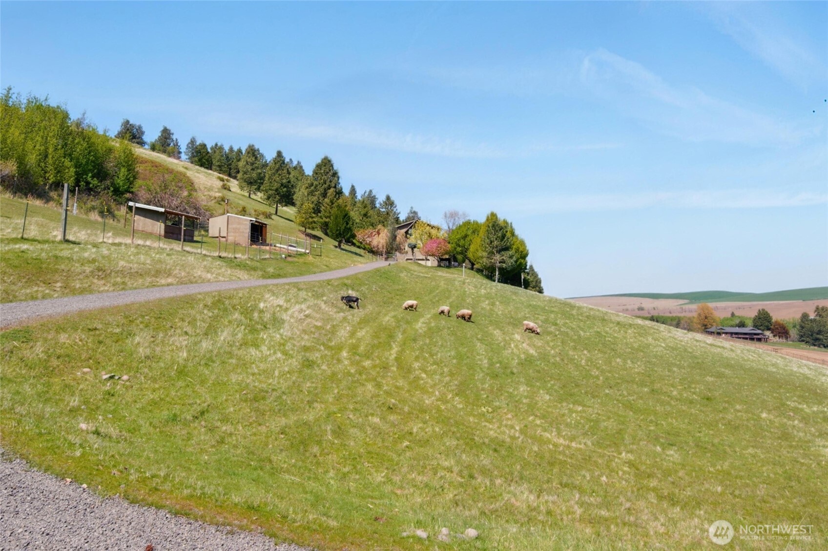 469 Tag Lane Walla Walla, WA 99362 - Photo 34 of 40 a view of a yard with an outdoor space