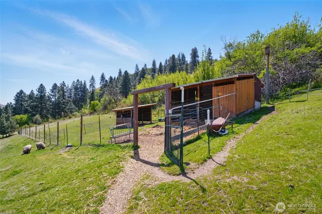 a view of a park with large trees and a wooden fence