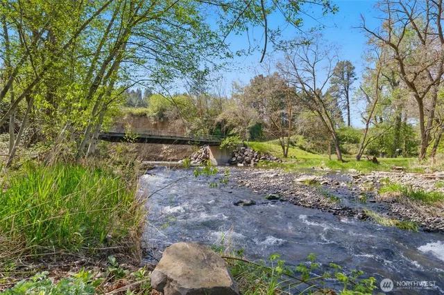 a view of backyard with tree