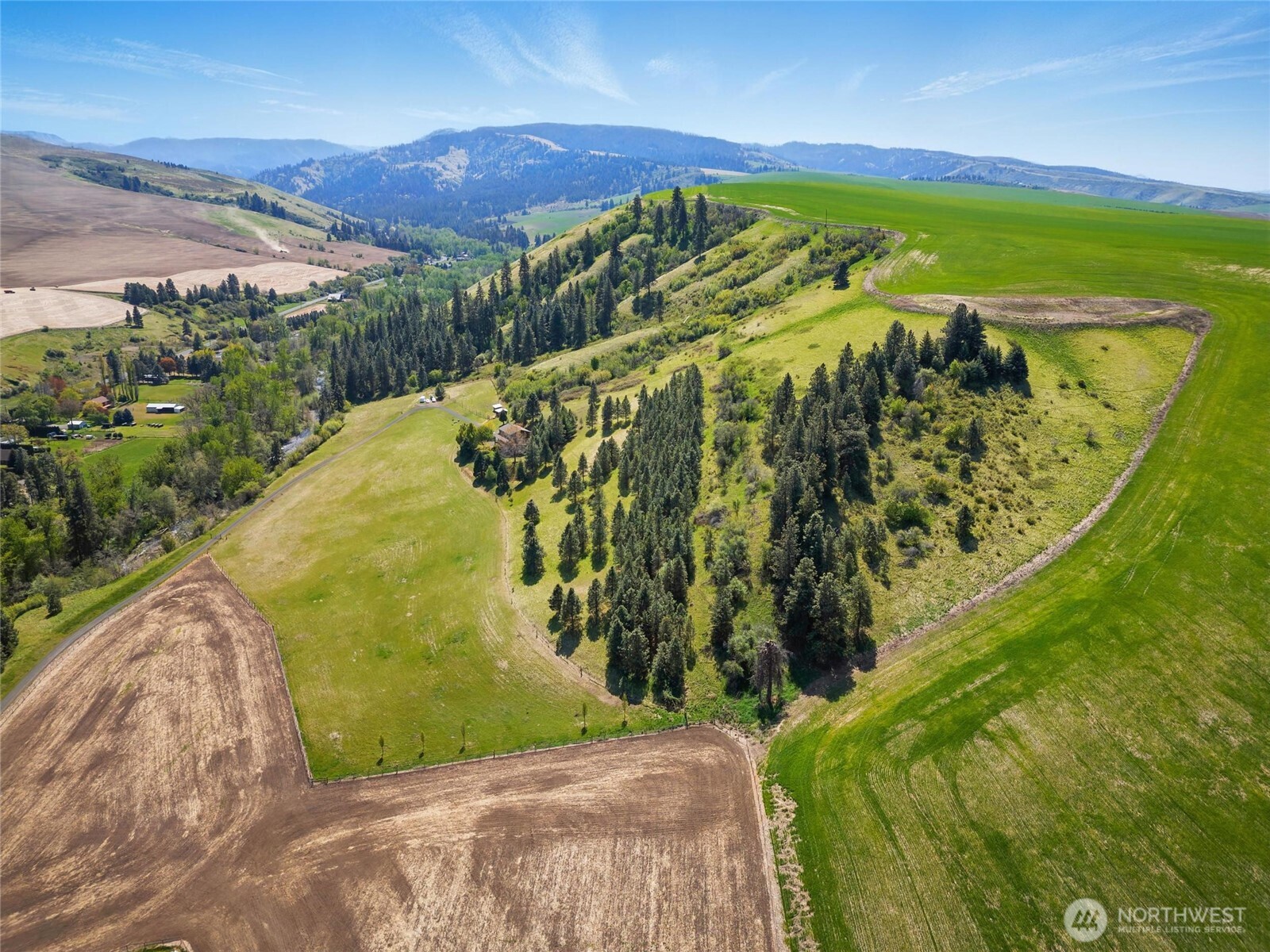 469 Tag Lane Walla Walla, WA 99362 - Photo 38 of 40 a view of a yard