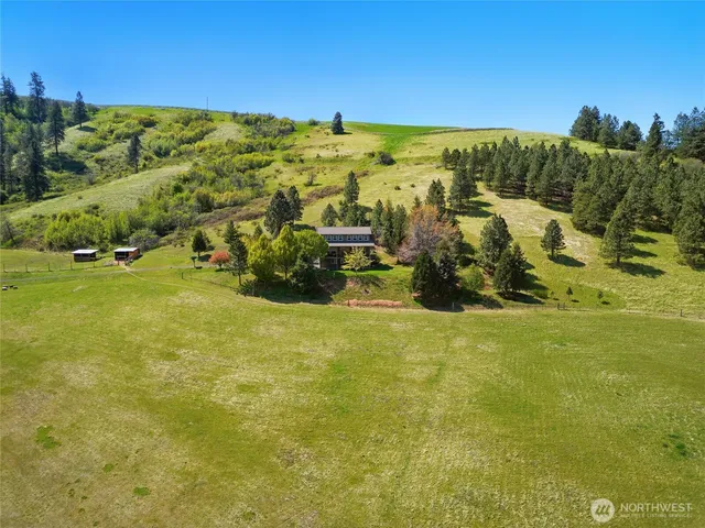 a view of a yard with an outdoor space