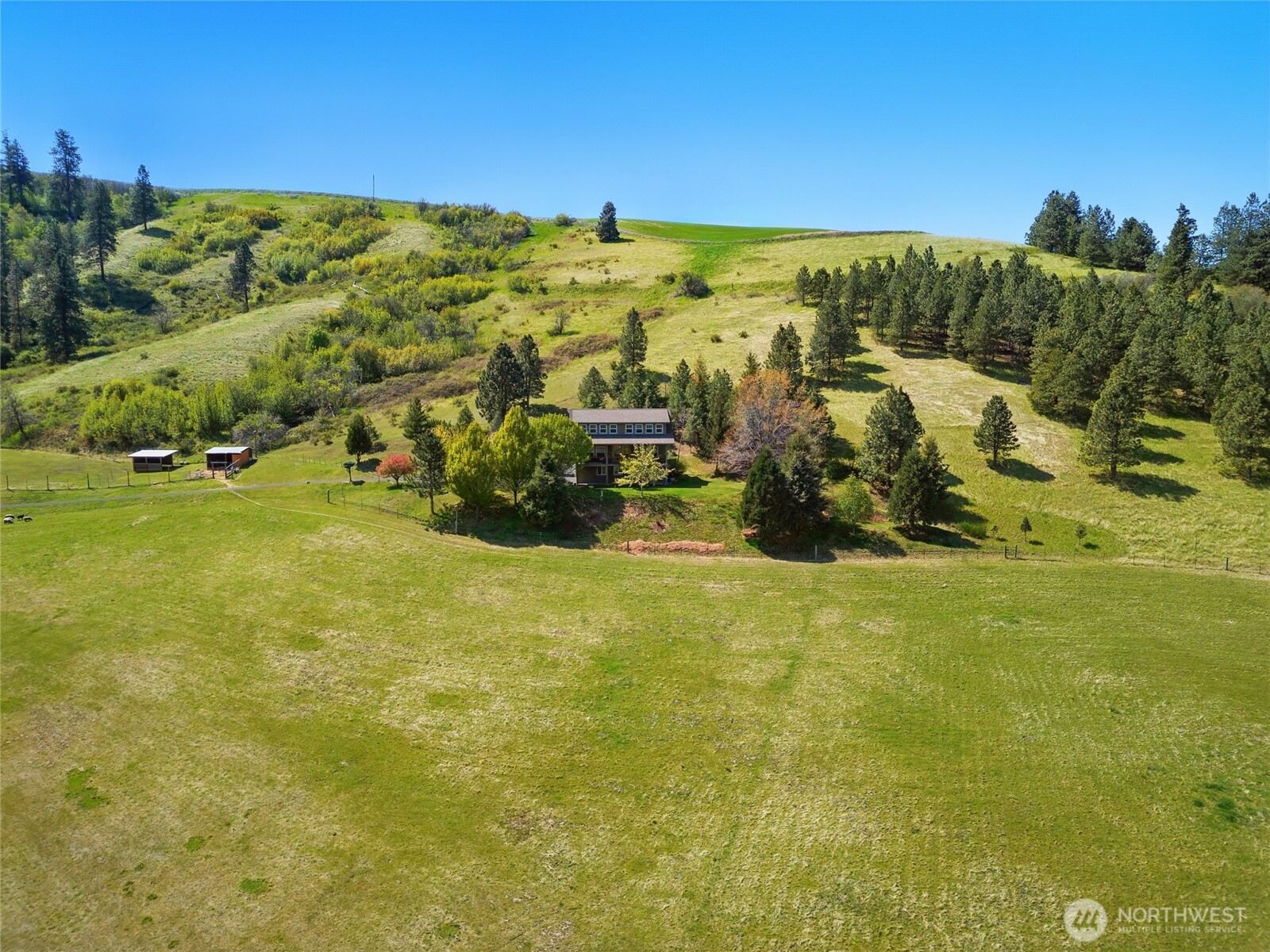 469 Tag Lane Walla Walla, WA 99362 - Photo 39 of 40 a view of a yard with an outdoor space