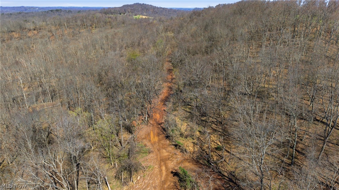 Logston Run Road Ravenswood, WV 26164 - Photo 7 of 10