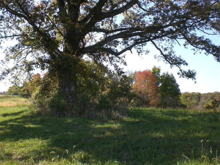 5 Clay Burgin Road Lawrenceburg, KY 40342 - Photo 3 of 9 Photo 3