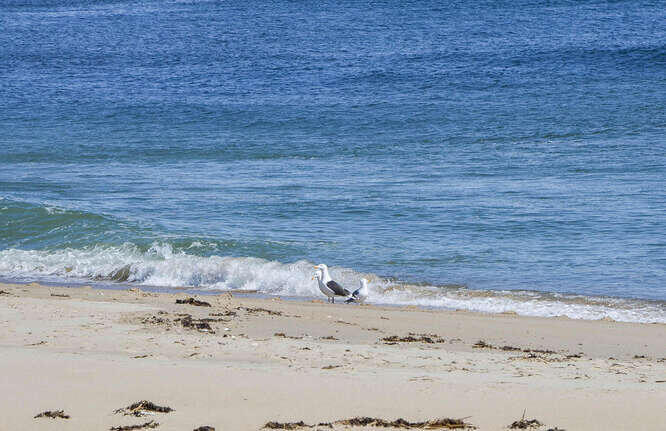 12 Landing Road Saco, ME 04072 - Photo 57 of 58 Close By