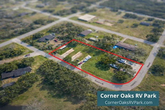 a view of a park with large trees