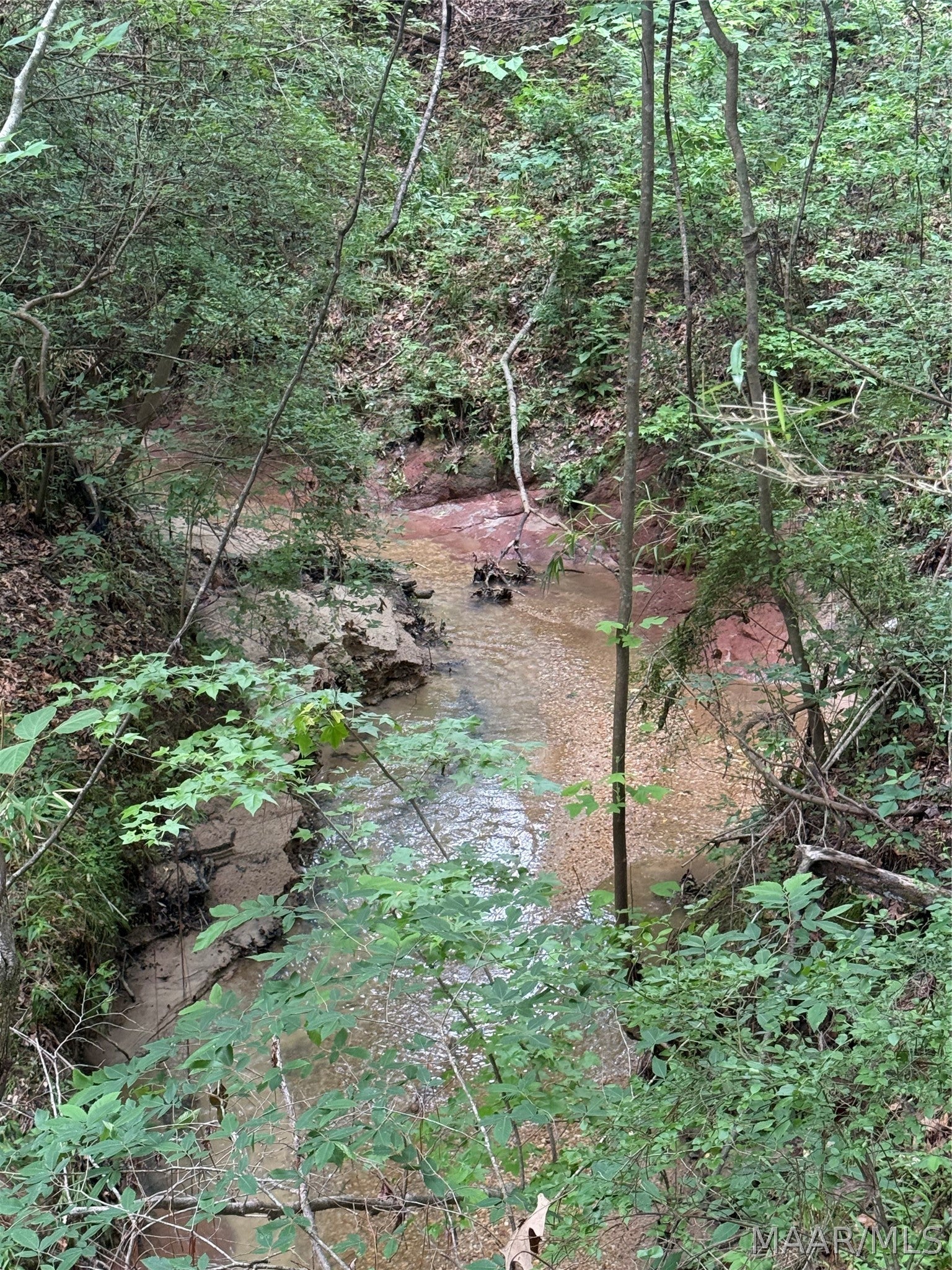 0 County Road Tuskegee, AL 36083 - Photo 13 of 13 Gallery Image 13