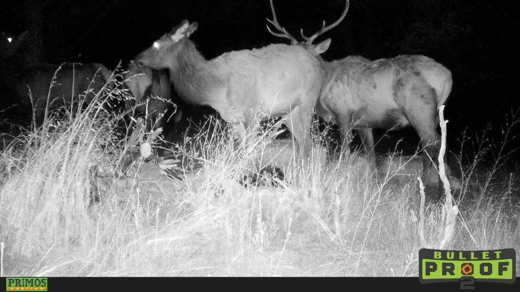 Shop Gulch Rd Mount Mount Vernon, OR 97865 - Photo 15 of 21 HUNT0098