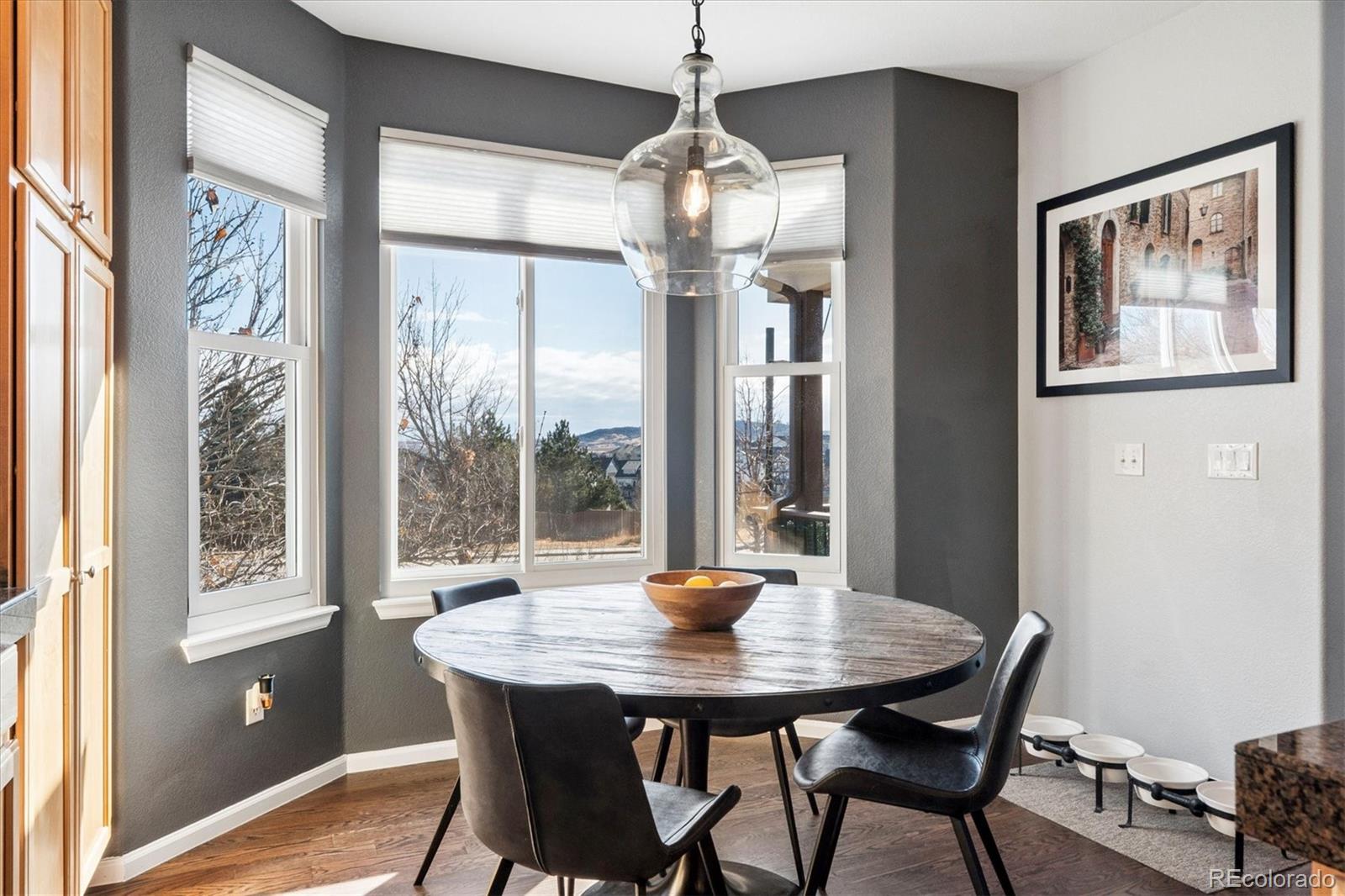 10824 Hickory Ridge Lane Highlands Ranch, CO 80126 - Photo 12 of 36 Gallery Image 12