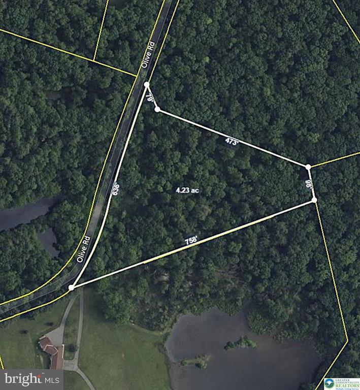 0 Olive Road Danielsville, PA 18038 - Photo 1 of 1