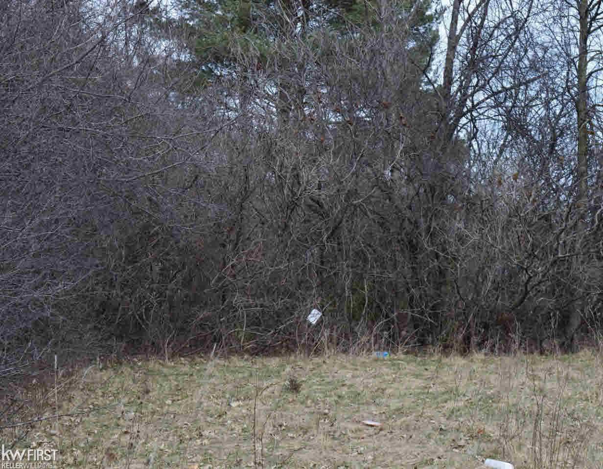 0 Walli Strasse Road Burton, MI 48509 - Photo 5 of 5