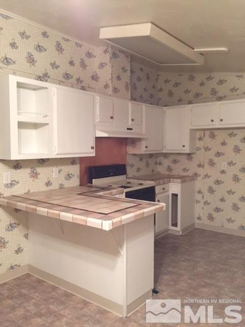 17220 Waxwing Street Reno, NV 89508 - Photo 4 of 16 Photo 4