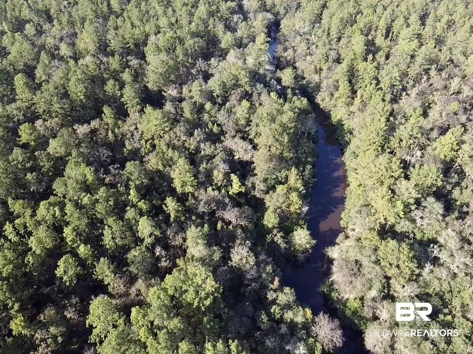 0 Country Road Vinegar Bend, AL 36584 - Photo 21 of 46