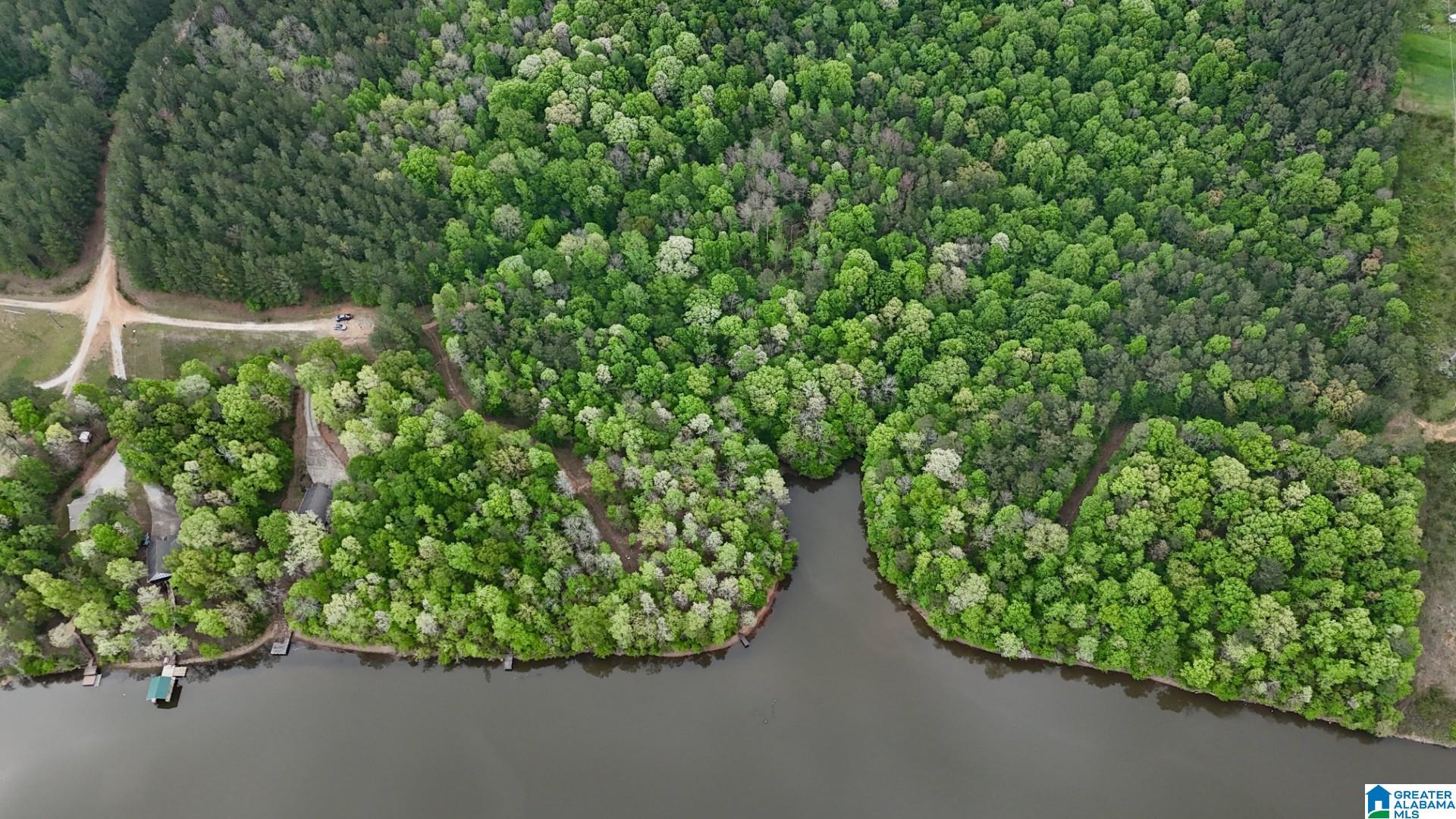 499 County Road Woodland, AL 36280 - Photo 4 of 5 Gallery Image 4