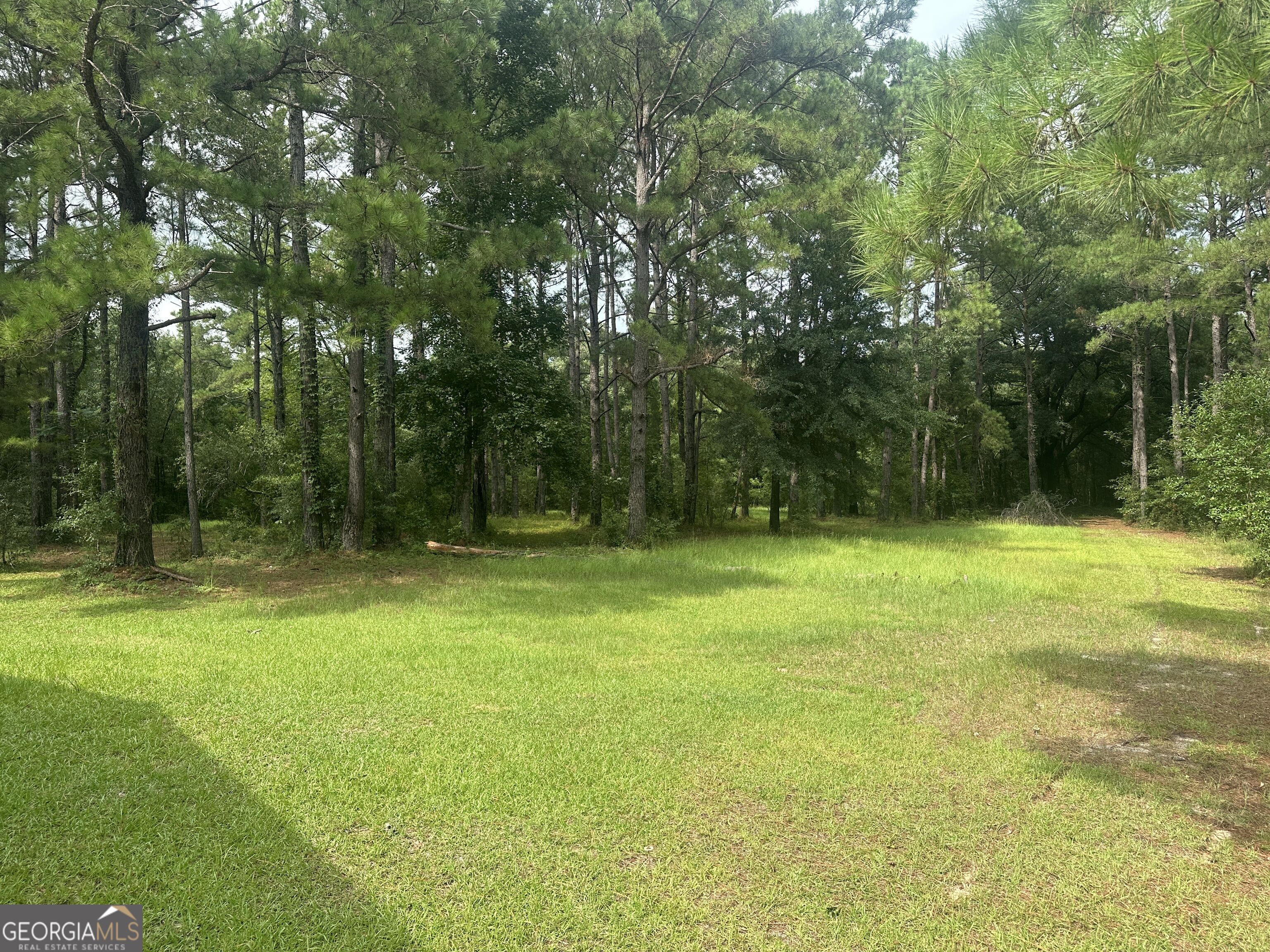 3693 Joyner-Oglesby Road Sardis, GA 30456 - Photo 9 of 32 Gallery Image 9