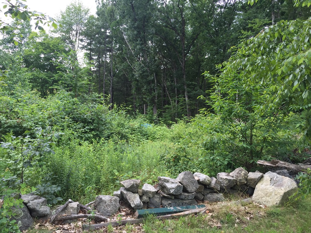 21 Mill Road Harvard, MA 01451 - Photo 2 of 9 Gallery Image 2