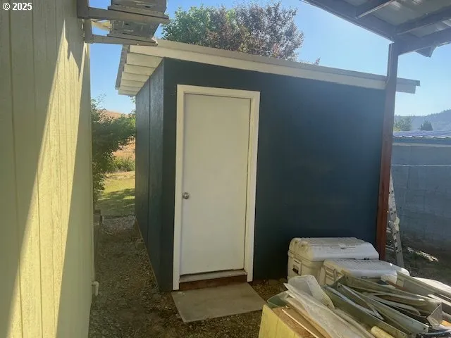 a view of a forest with trees in the background