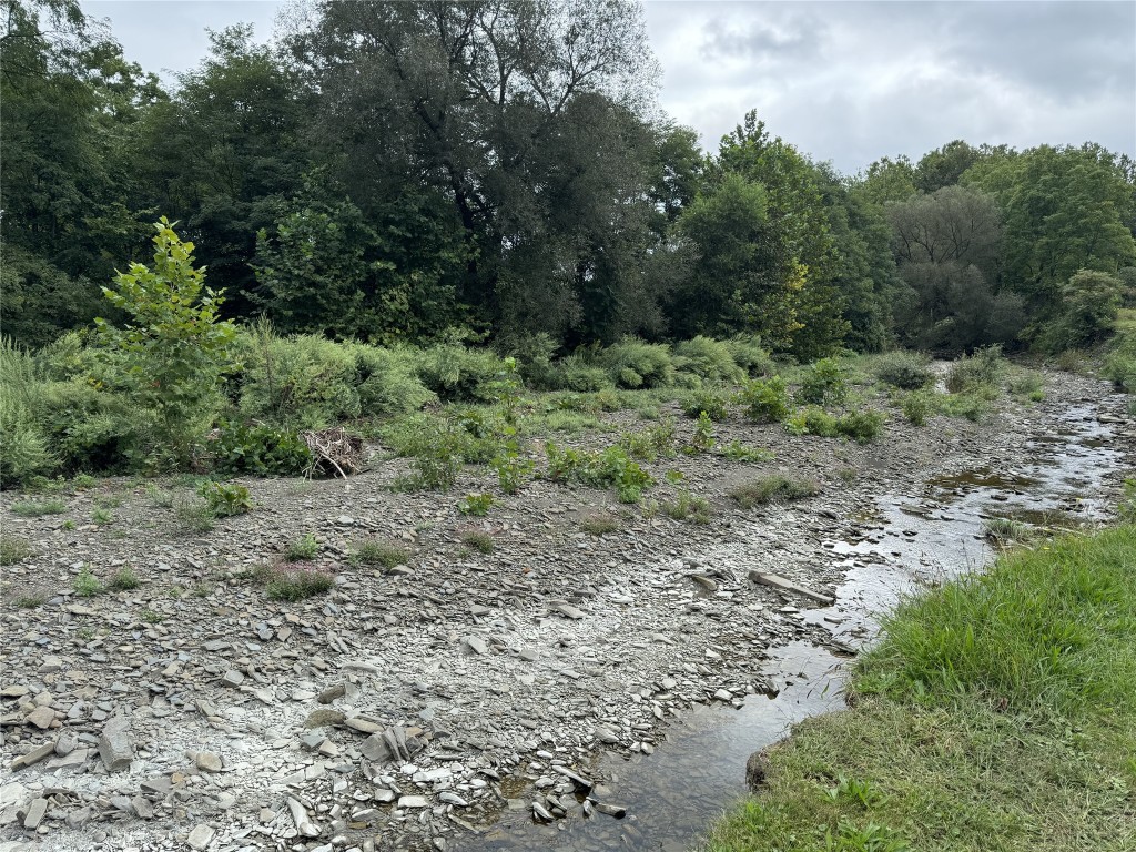 223 Depot Road Nichols, NY 13812 - Photo 9 of 22