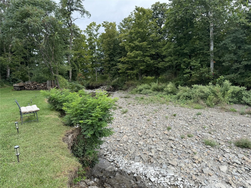 223 Depot Road Nichols, NY 13812 - Photo 10 of 22