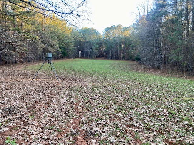 8548 Elberton Road Tignall, GA 30668 - Photo 47 of 50