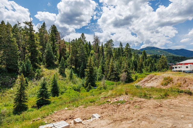 4055 Kilby Road Park City, UT 84098 - Photo 55 of 91 Gallery Image 55