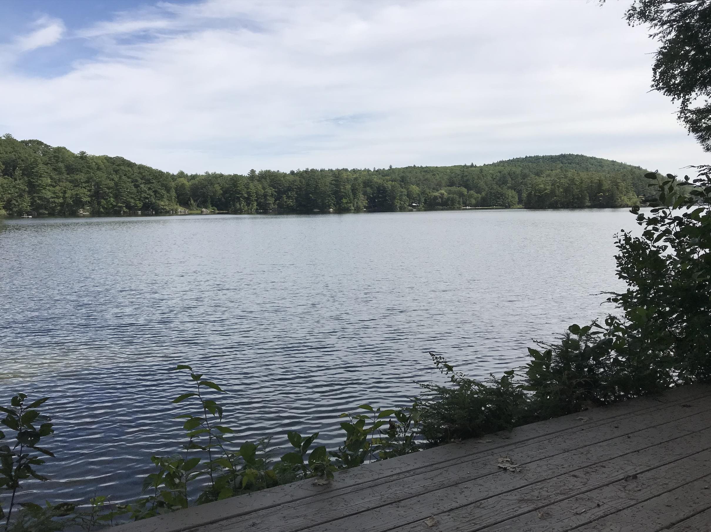 60 West Shore Road New Hampton, NH 03256 - Photo 6 of 35