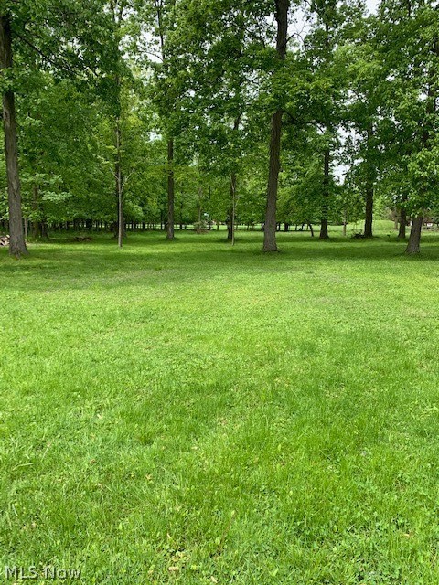 5899 Highland Road Cleveland, OH 44143 - Photo 4 of 15 Wow! This lot backs up to a beautiful park and playground and then to Aberdeen Golf Course!