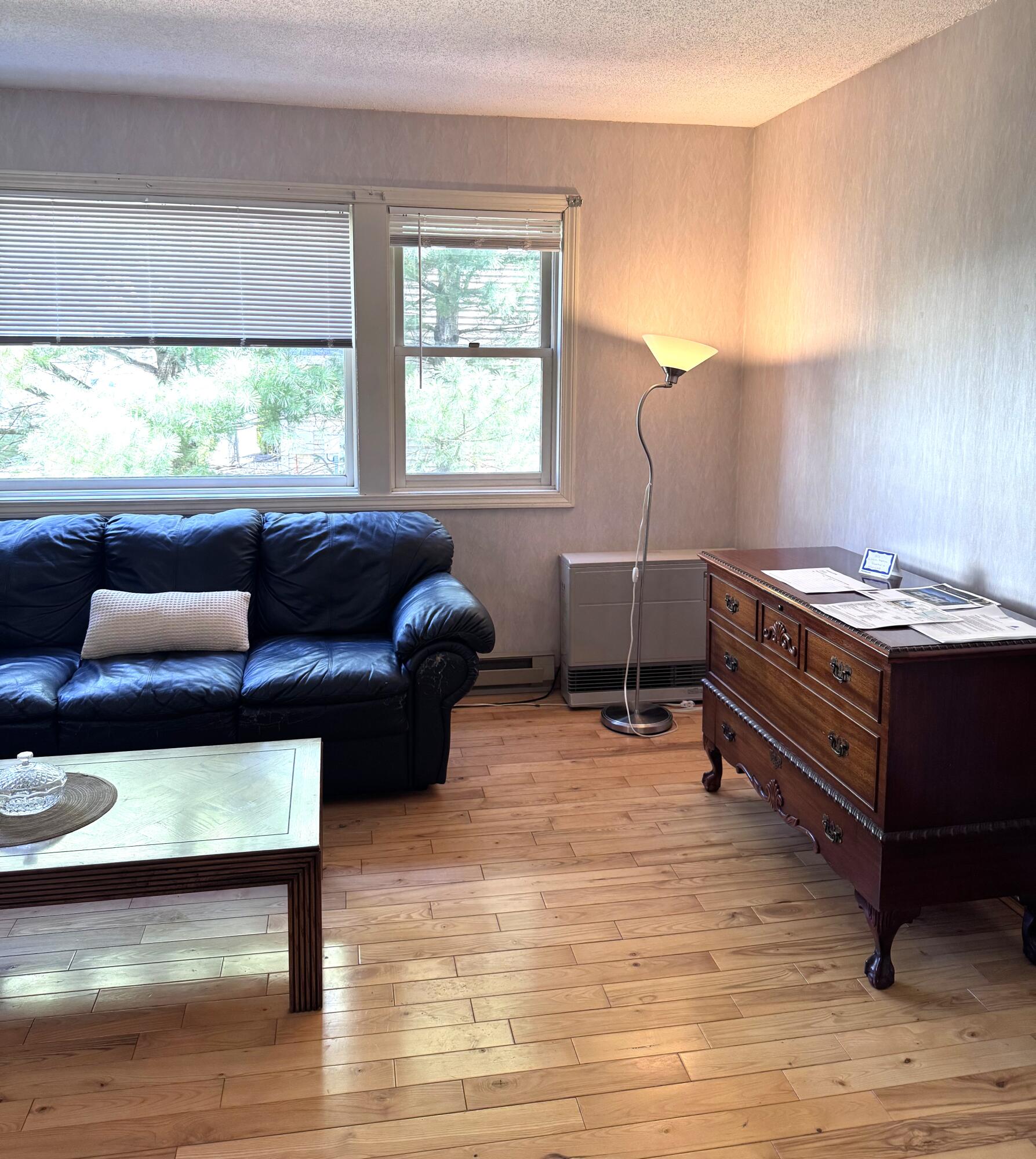 16 Smithwheel Road, Unit 9 Old Orchard Beach, ME 04064 - Photo 14 of 25 FR corner
