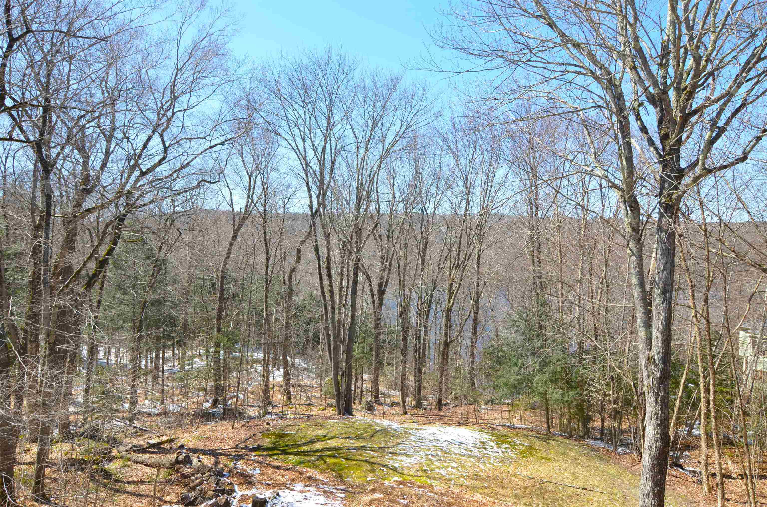 3 Trillium Lane Grantham, NH 03753 - Photo 35 of 46