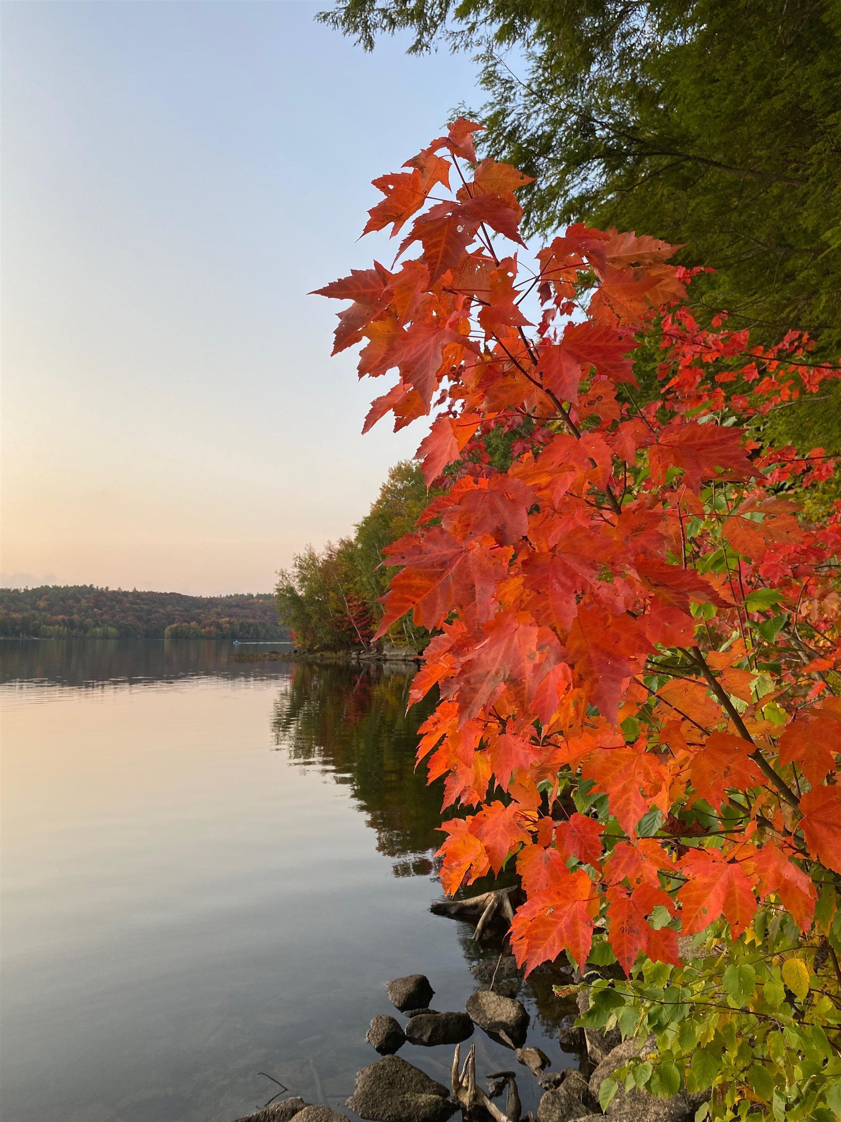 3 Trillium Lane Grantham, NH 03753 - Photo 45 of 46