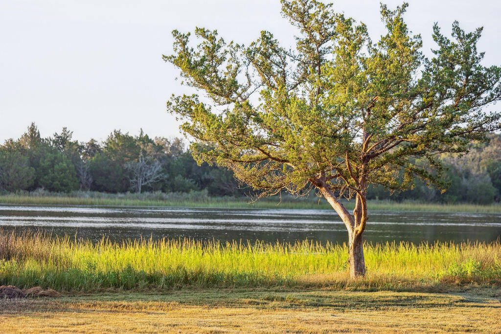 8042 Mariners Landing Awendaw, SC 29429 - Photo 18 of 53 Easy Water Access