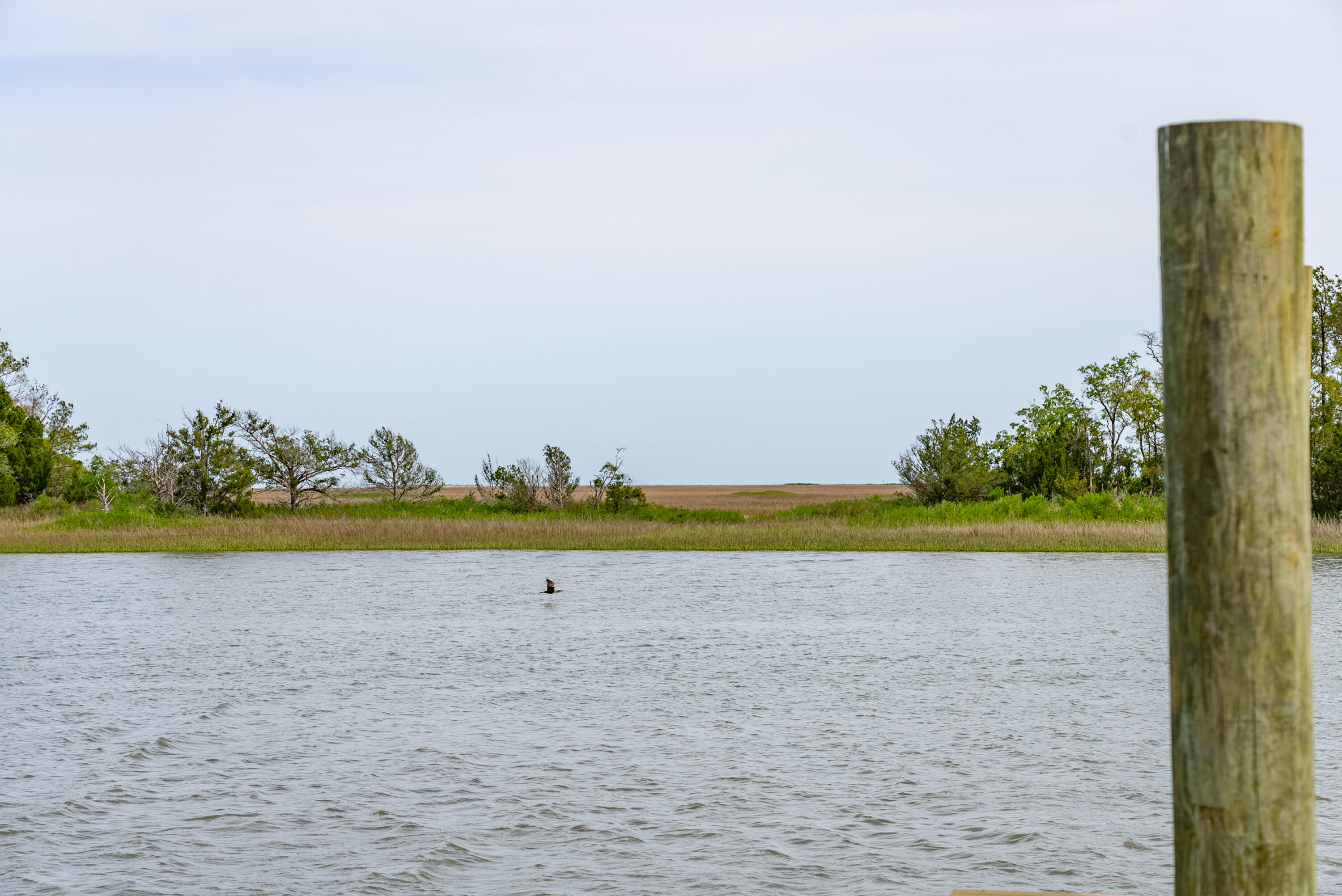 8042 Mariners Landing Awendaw, SC 29429 - Photo 28 of 53 7857DoarRd-KeenEyeMarketing-017