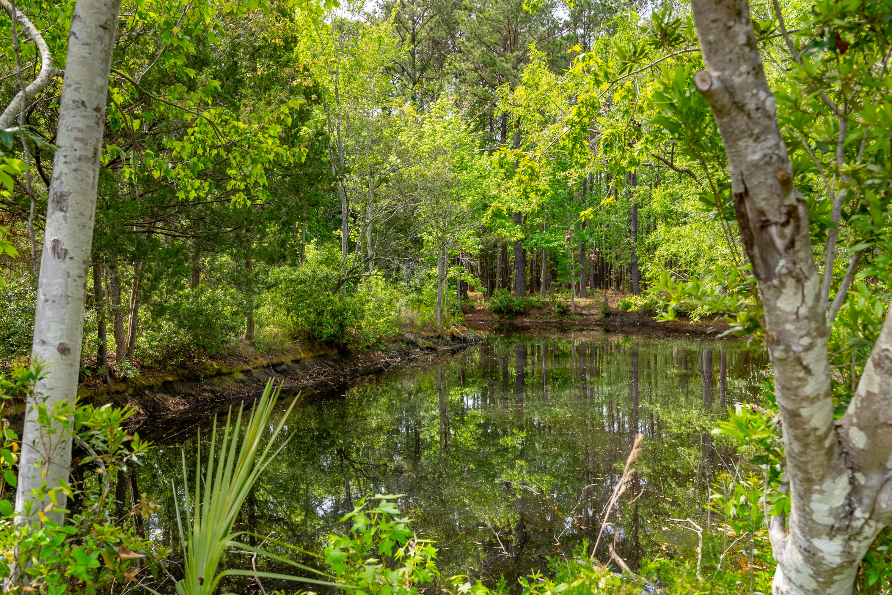8042 Mariners Landing Awendaw, SC 29429 - Photo 35 of 53 7857DoarRd-KeenEyeMarketing-029