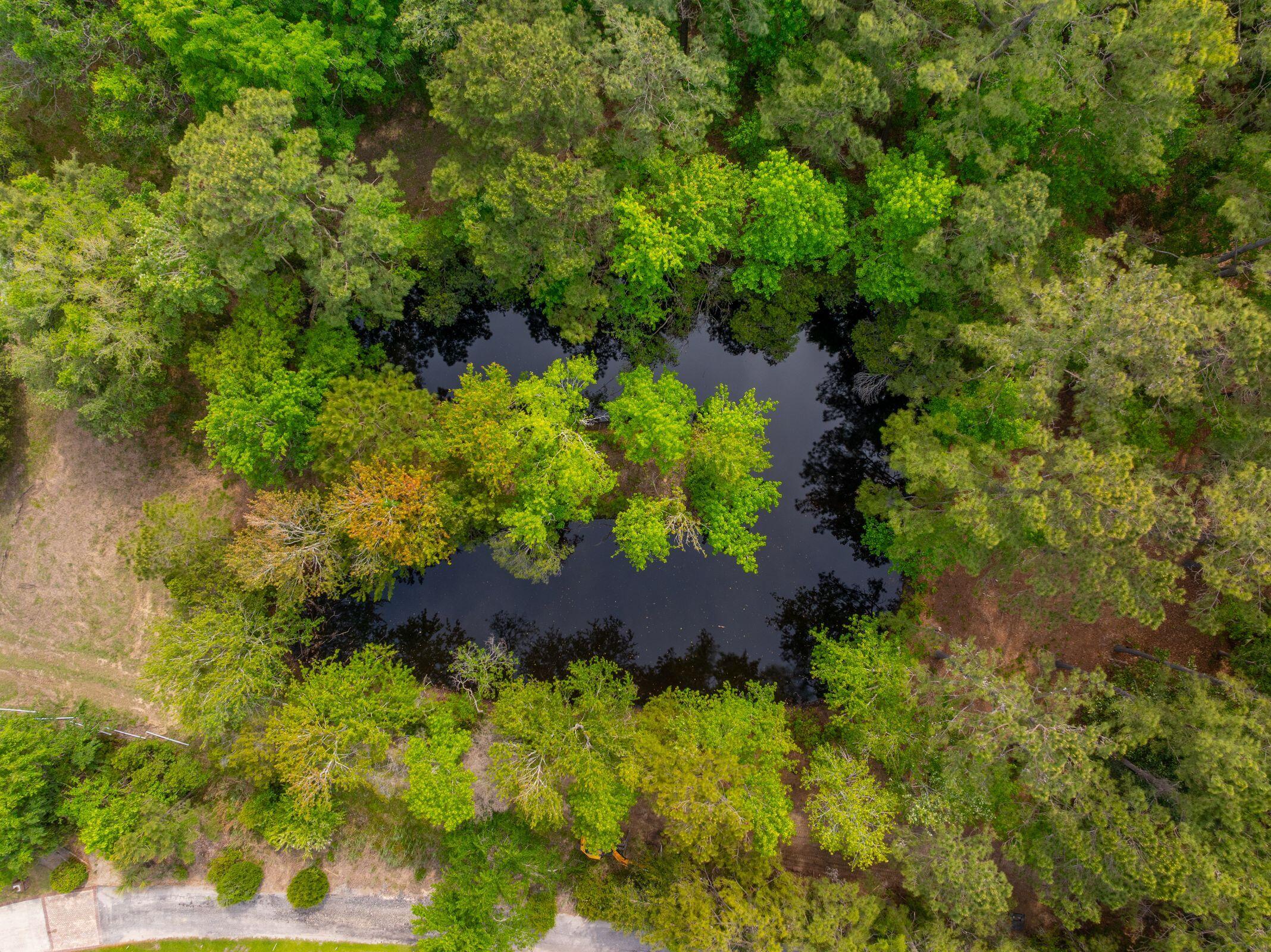 8042 Mariners Landing Awendaw, SC 29429 - Photo 47 of 53 7857DoarRd-KeenEyeMarketing-044