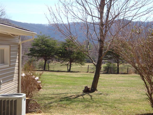 5111 Lewis Road Roanoke, VA 24014 - Photo 11 of 12 a view of a backyard with large trees