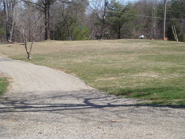 5111 Lewis Road Roanoke, VA 24014 - Photo 12 of 12 a view of a yard