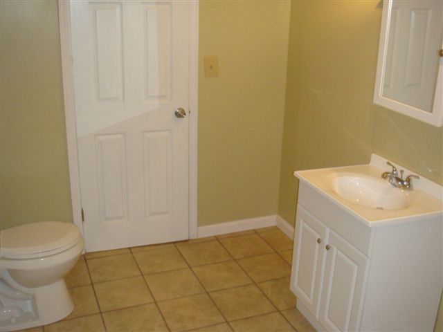5111 Lewis Road Roanoke, VA 24014 - Photo 10 of 12 a bathroom with a sink a toilet and a mirror