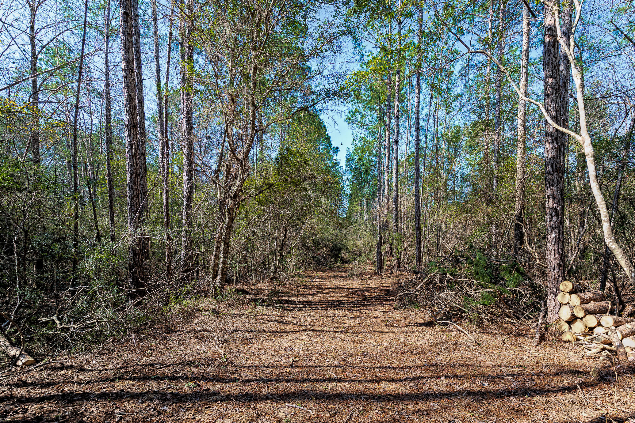 0 Nicole Road, Unit LOT 18 Freeport, FL 32439 - Photo 4 of 7 NICOLE RD