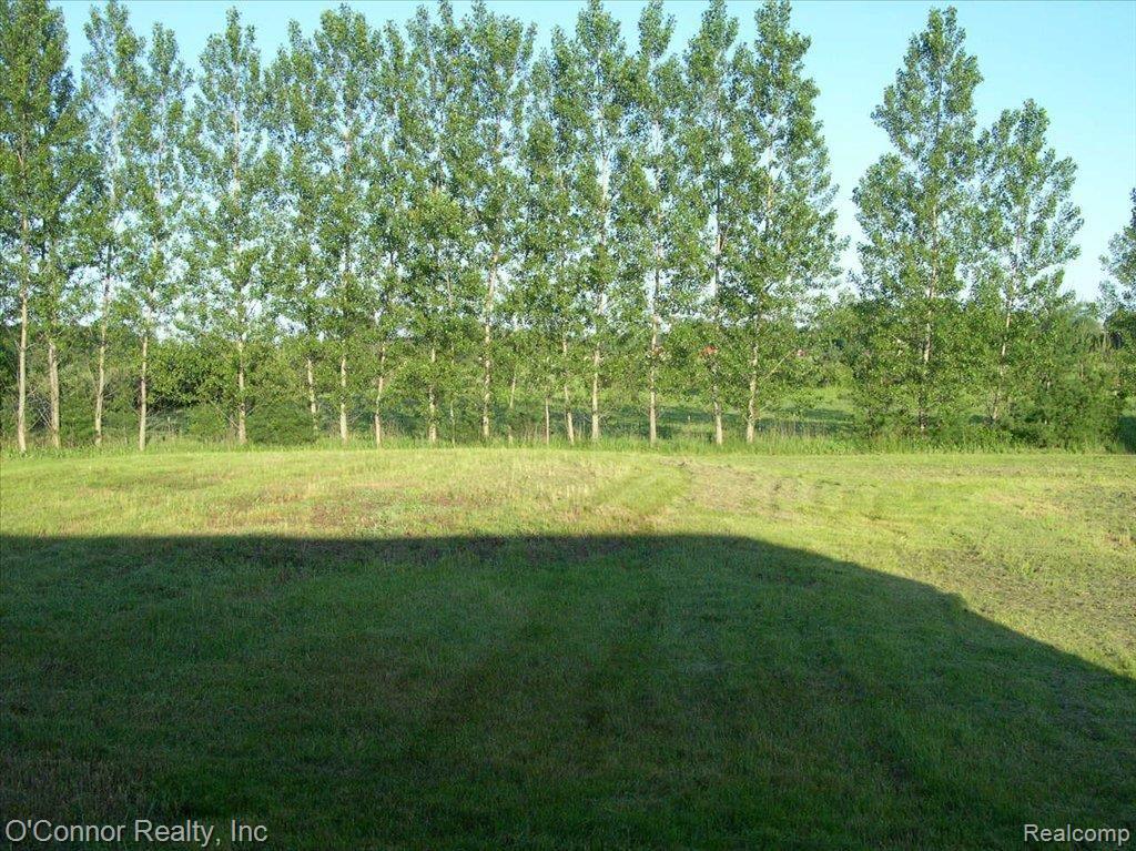 8540 Bricker Road Yale, MI 48097 - Photo 7 of 8 Bricker Backyard